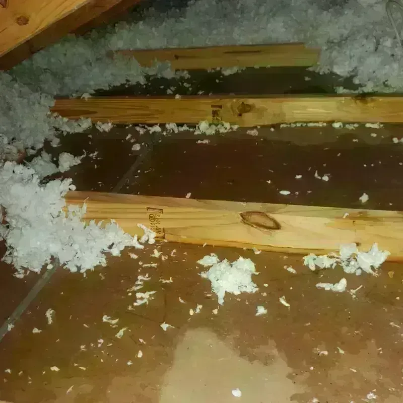 Attic Water Damage in Coal City, WV